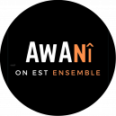 Awani store